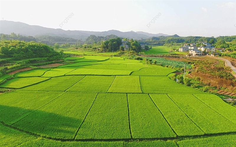 Luật Đất đai 2024: Quy định về trình tự, thủ tục cho phép chuyển mục đích sử dụng đất